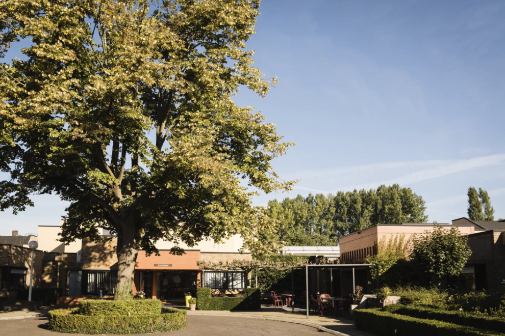 De Zilverlinde — photo 1